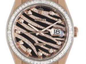 Rolex Zebra